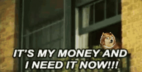 A Doge Says It 'S My Money And I Need It Now ! GIF
