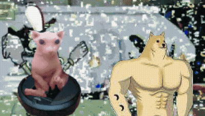 A Doge Standing Next To A Cat On A Vacuum Cleaner GIF