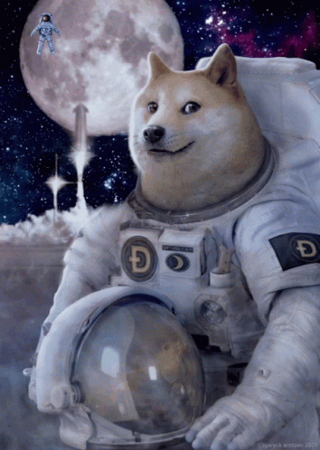 A Doge Wearing A Space Suit With A Sticker That Says Doge GIF