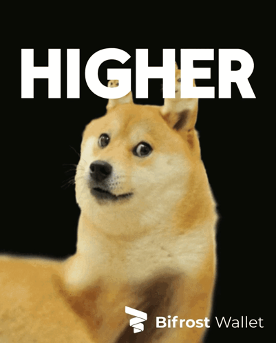 A Doge With A Black Background And The Word Higher On It GIF