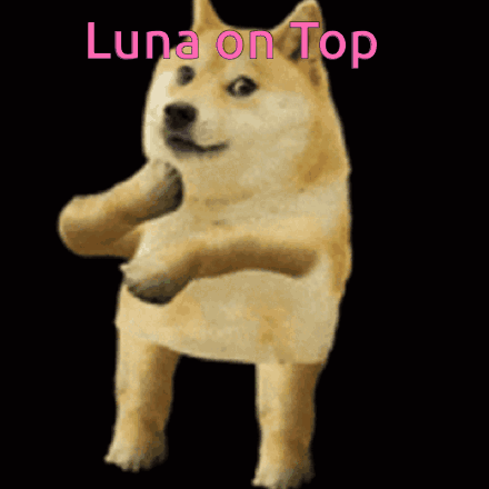 A Doge With The Words Luna On Top Written Above It GIF