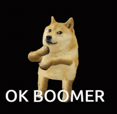 A Doge With The Words Ok Boomer Written On It GIF