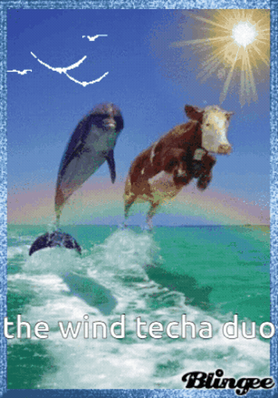 A Dolphin And A Cow Jumping Out Of The Water With The Words " The Wind Techa Duo " GIF