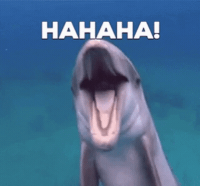 A Dolphin Is Laughing With Its Mouth Open And The Words ' Hahaha ! ' Written Above It . GIF
