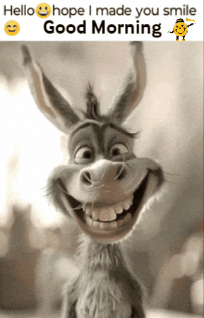 A Donkey Is Smiling With The Words " Hello Hope I Made You Smile Good Morning " Above It GIF