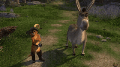 A Donkey Standing Next To A Cat With The Words Yo Te Veo Igual De Burro GIF