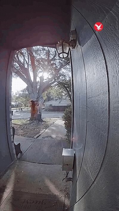 A Doorway With A Welcome Mat On The Floor And A Bird On The Wall GIF