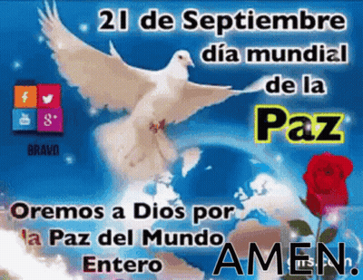 A Dove Is Flying Over A Globe And A Rose With The Words Amen GIF