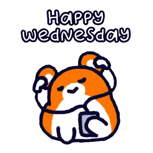 A Drawing Of A Bear With The Words Happy Wednesday On It Sticker