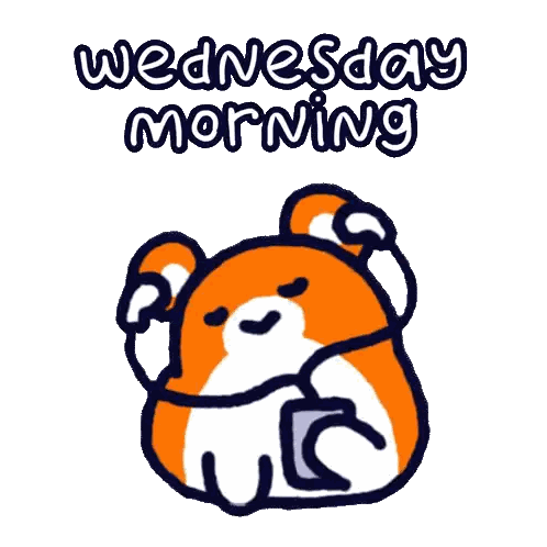 A Drawing Of A Bear With The Words Wednesday Morning Written Above It Sticker