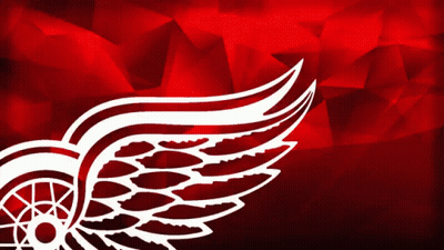 A Drawing Of A Bird 'S Wings Against A Red Background GIF