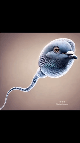 Drawing Of Bird With Long Neck And Beak GIF