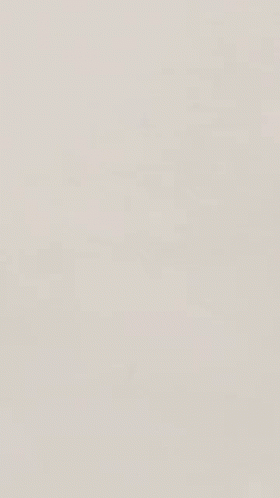A Drawing Of A Bird With Orange Wings And A White Background GIF