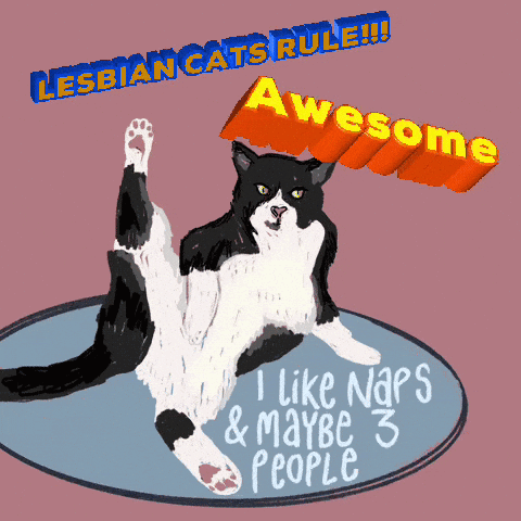 A Drawing Of A Black And White Cat With The Words " Lesbian Cats Rule Awesome I Like Naps & Maybe 3 People " GIF
