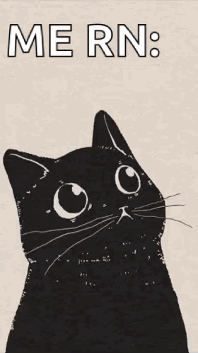 A Drawing Of A Black Cat With Tears Coming Out Of Its Eyes And The Words Mern Written Above It GIF