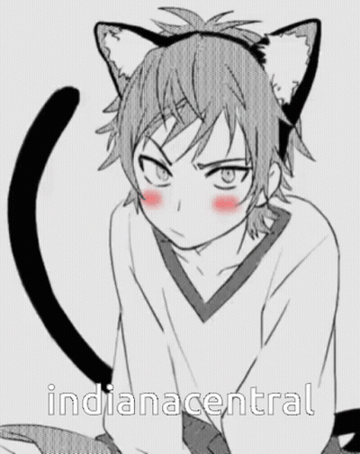 A Drawing Of A Boy With Cat Ears And The Words Indiana Central GIF