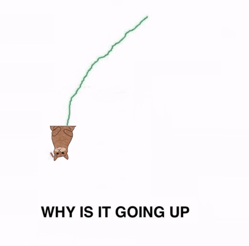 A Drawing Of A Cat Hanging Upside Down With The Words Why Is It Going Up Underneath It GIF
