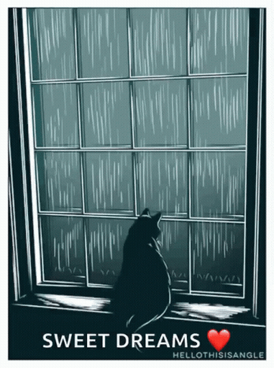 A Drawing Of A Cat Looking Out A Window With The Words Sweet Dreams Written Below It GIF