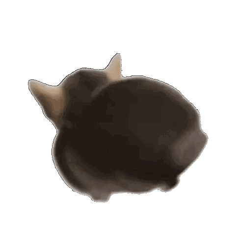 A Drawing Of A Cat 'S Back With A White Background Sticker