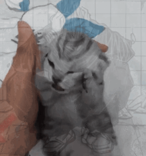 A Drawing Of A Cat Sitting On A Blanket GIF