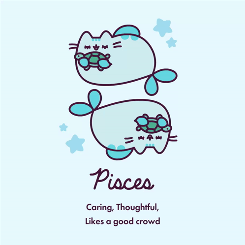 a drawing of a cat with a turtle on its head that says pisces caring thoughtful likes a good crowd
