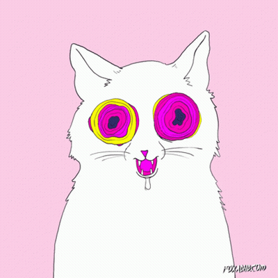 A Drawing Of A Cat With Circles In Its Eyes And The Website Foxadhd.com Underneath GIF