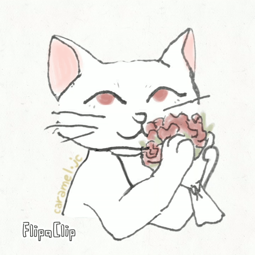 A Drawing Of A Cat With Flipa Clip Written On The Bottom Right GIF