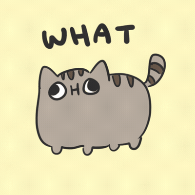 A Drawing Of A Cat With The Word What Written On It GIF