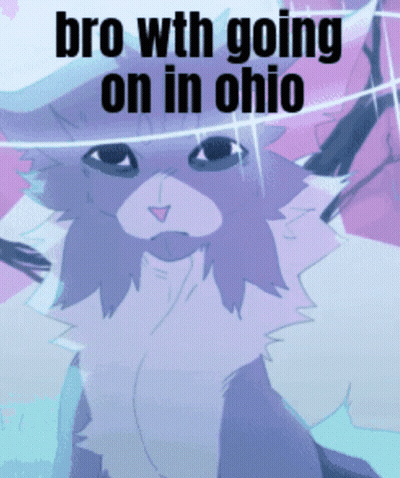 A Drawing Of A Cat With The Words Bro With Going On In Ohio GIF