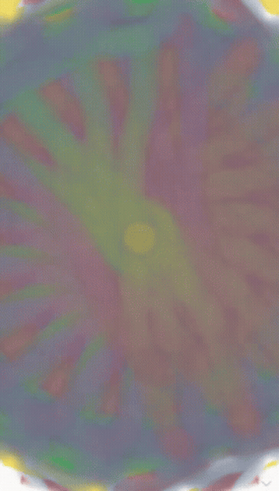 A Drawing Of A Circle With Lines Around It GIF