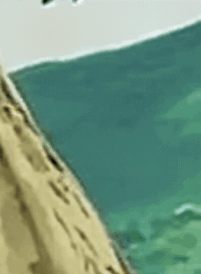 A Drawing Of A Crab Laying On A Beach GIF