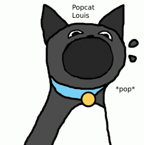 A Drawing Of A Dog With The Name Popcat Louis Written On It GIF
