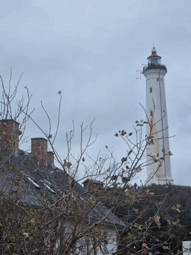 A Drawing Of A Duck With Big Eyes Stands In Front Of A Lighthouse GIF