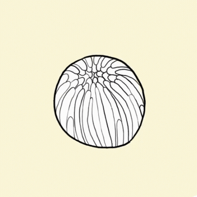 A Drawing Of A Flower With A Face In The Center . GIF