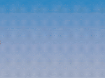 A Drawing Of A Girl With Wings Hanging From A Frame GIF