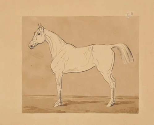A Drawing Of A Herd Of Horses Running Across A Field GIF