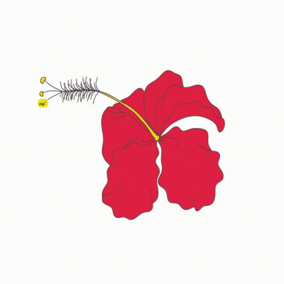 A Drawing Of A Hibiscus Flower With A Yellow Center GIF
