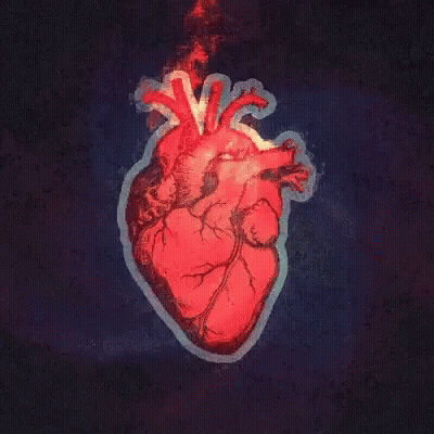 A Drawing Of A Human Heart On A Dark Background GIF