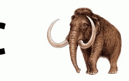 A Drawing Of A Mammoth With The Letter C Next To It GIF