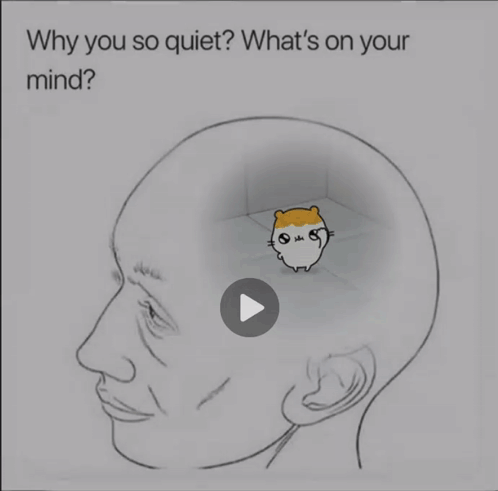 A Drawing Of A Man 'S Head With A Hamster Inside Of It And The Words " Why You So Quiet " GIF