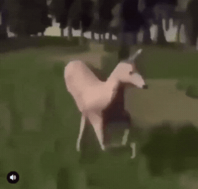 A Drawing Of A Person Riding A Horse In A Field With Trees In The Background GIF