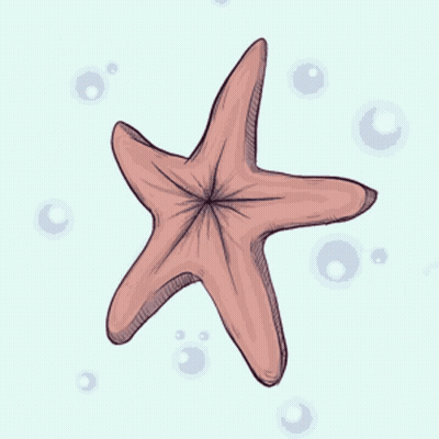 A Drawing Of A Pink Starfish On A White Background GIF