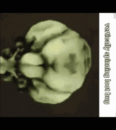 A Drawing Of A Pumpkin With The Words Vertically Spinning Loot Bug Below It GIF