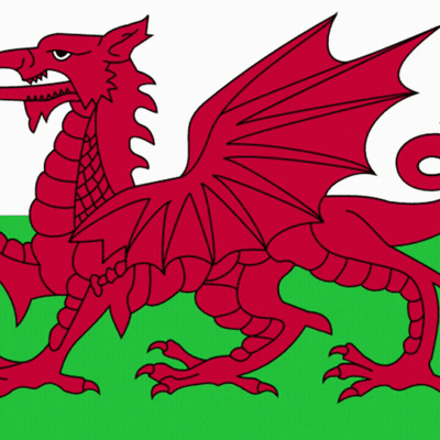 A Drawing Of A Red Dragon On A Green Background GIF