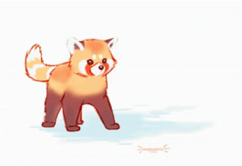 A Drawing Of A Red Panda With Margarita Written In The Corner GIF