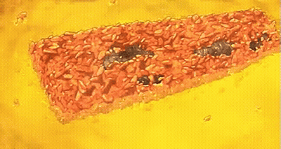 A Drawing Of A Slice Of Pizza With Raisins On It GIF