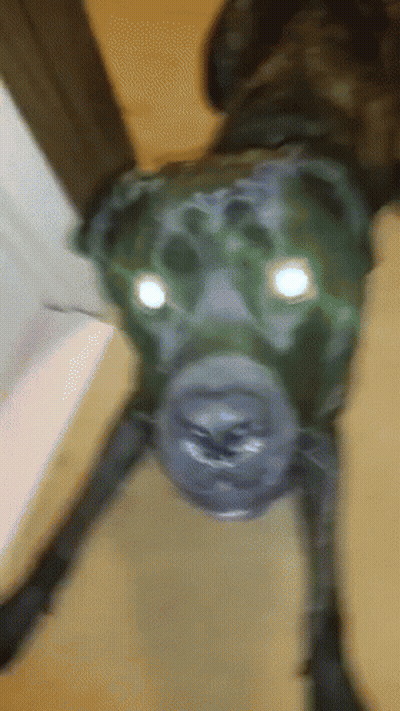 A Drawing Of A Spider With Glowing Eyes GIF