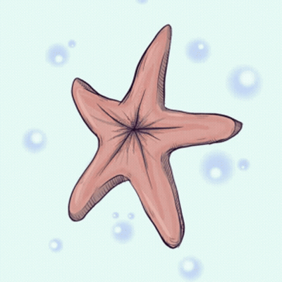 A Drawing Of A Starfish With A Pointed Center GIF
