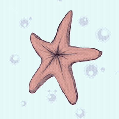 A Drawing Of A Starfish With Bubbles Surrounding It GIF