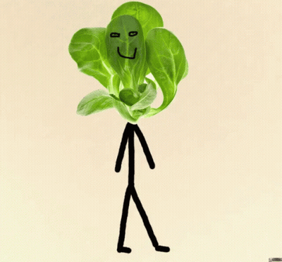 A Drawing Of A Stick Figure With A Green Leaf With A Face On It GIF